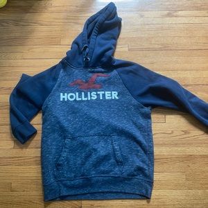 Size Large Hollister sweatshirt